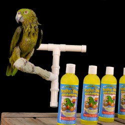 papegaaien-douchstok-shampoo-dieca
