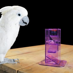 papegaaien-speelgoed-educatief-dieca