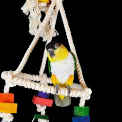 papegaaien-speelgoed-schommel-dieca