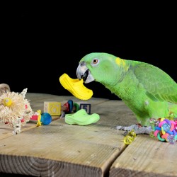papegaaien-speelgoed-voet-en-tafel-dieca