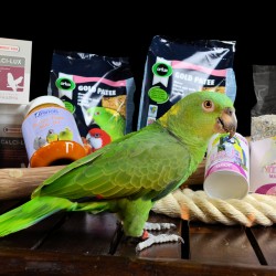 papegaaien-voeding-supplementen-dieca