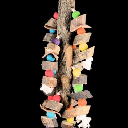 papegaaienspeelgoed-funtree-dieca-2 papegaaienspeelgoed-funtree-dieca-2